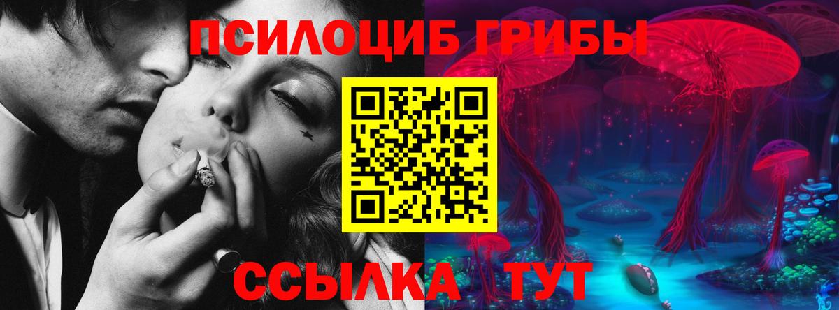 Котельники  Галлюциногенные грибы Magic Shrooms  Вход с VPN 